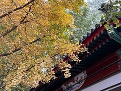 -富华斋饽饽铺·宫廷糕点·伴手礼(护国新天地店)