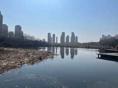 -前关湿地公园