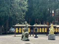 -武陵山森林公园