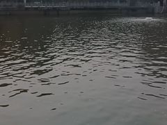 -孺子亭公园