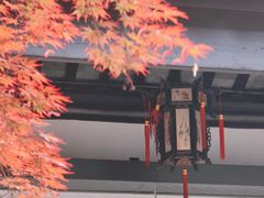 -苏州文庙(姑苏区)