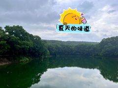 -红花湖景区
