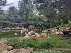 -珠海长隆海洋王国