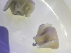 -喜鼎海胆水饺(柏威年购物中心店)