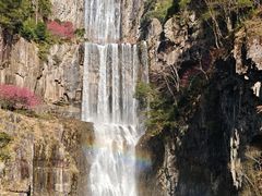-刘伯温故里景区百丈漈