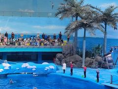 -海合安成都极地海洋公园