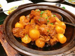 小土豆牛筋腩煲-川旺角川粤融合菜•海景餐厅(星海广场店)