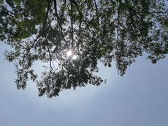 -东钱湖旅游度假区