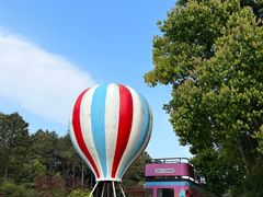 -铁山坪森林公园