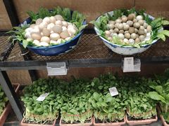 -映像威海·海鲜味道(经区店)