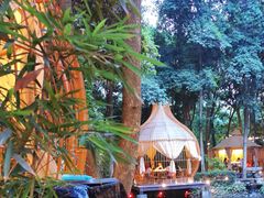 -二荆条·蜀鲜汇城市森林火锅