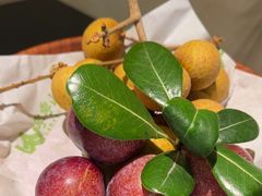 -季季山·云南野生菌火锅(上海首店)