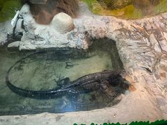 -上海大自然野生昆虫馆