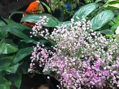 -何兮花店·气球派对鲜花店(马桥银春路万科城店)