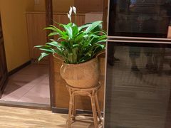 -西贝(六里桥旗舰店)