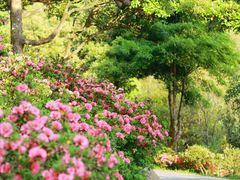 -深圳国际园林花卉博览园