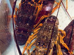 -万龙洲海鲜(大兴绿地缤纷城店)