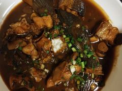 -全乐鱼馆·淳牌有机鱼直营店