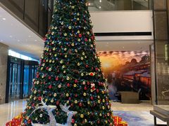 -苏州希尔顿酒店·园大堂吧