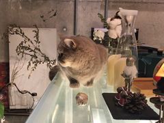 -MIMO CAFE(沙头角店)