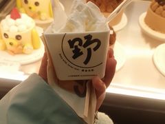 -野人先生现做冰淇淋(北京环宇荟店)