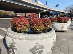-丰台花园