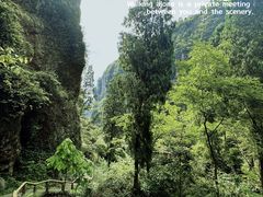 -雁荡山大龙湫景区