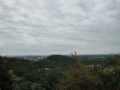 -上海佘山国家森林公园西佘山园