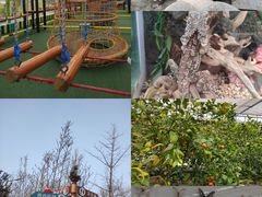-南宫五洲植物乐园