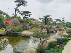 -罗红摄影艺术馆