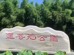 -莲花池公园