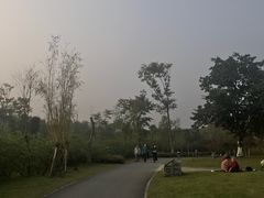 -白鹭湾湿地公园