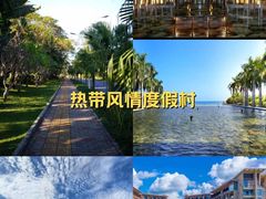 -三亚亚龙湾红树林度假酒店