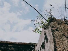 -达濠古城