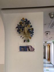 点击看大图 -深圳美莱医疗美容医院