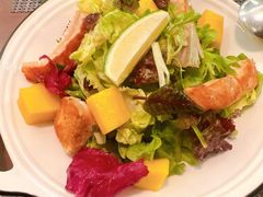 -Terra Rossa(陆家嘴中心店)