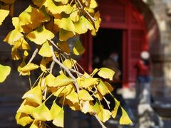-北京石刻艺术博物馆(五塔寺)