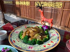 葱烧鹿蹄筋-鹿鸣春饭店(总店)