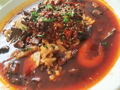 -郭林家常菜烤鸭(曙光西路店)