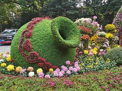 -杭州植物园
