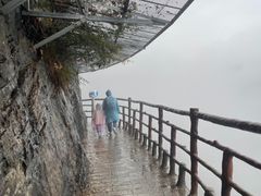 -鹿院坪生态旅游景区