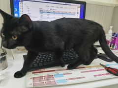 -佑安动物医院·全科·内窥镜中心(幸福巷店)