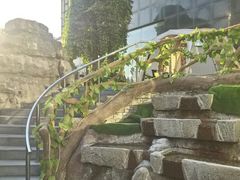 -裕龙汤泉