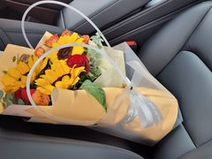 -天猫养车贴膜轻改·蓝电(优匹康桥东路店)