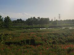 -洨河生态公园