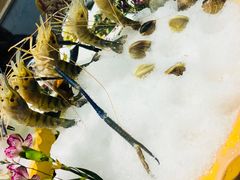 -渔傅·蓝海岸霞浦海鲜(正祥店)