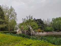 -团结湖公园