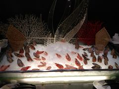 -亮马河饭店翠雅咖啡厅