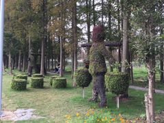 -上海长兴岛郊野公园