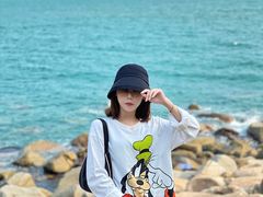 -广东惠东海龟国家级自然保护区